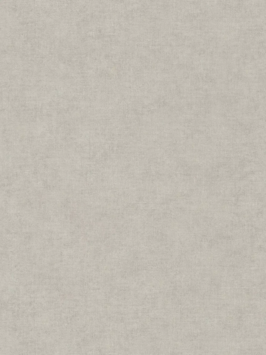 Wallpaper A.S Creation 395669 Smart Surfaces .53x10,05 m(5m2)