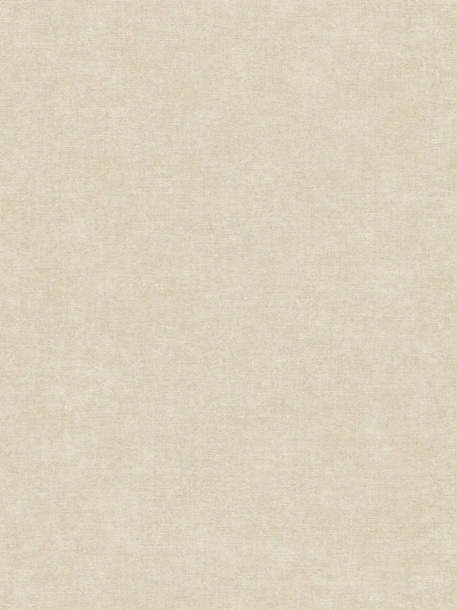 Wallpaper A.S Creation 395654 Smart Surfaces .53x10,05 m(5m2)